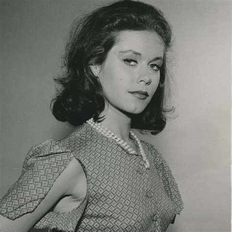 elizabeth montgomery desnuda|Rare Elizabeth Montgomery Photos Leave Little to the Imaginatinon